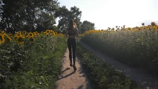 Vacker flicka gör morgon jogging vid soluppgången i fältet. utomhus fitness. Sköt med steadicam — Stockvideo