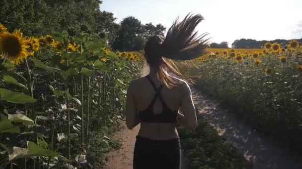 Piękna dziewczyna robi rano joggingu o wschodzie słońca w polu. fitness na świeżym powietrzu. Strzał z steadicam — Wideo stockowe