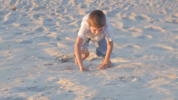 The boy is trying to climb a sandy mountain on a sunny day. Active rest of the child. — Stock Video