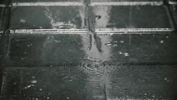 Rain Drops Falls On The Ground Slow Motion Black And White Shot