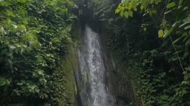 Tegenungan şelale orman Adası Bali, Endonezya yavaş hareket içinde