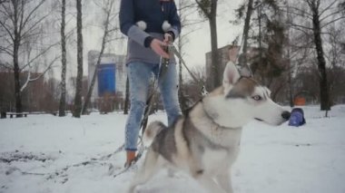 güzel genç kadın ile bir köpek bir karlı kış parkta oynarken