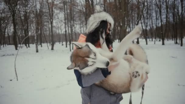 Wanita muda memegang anjing betina dalam pelukannya di taman musim dingin bersalju. Gadis cantik bermain dengan anjing — Stok Video