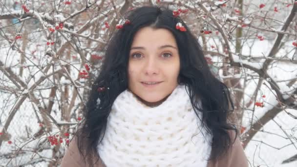 Портрет красивой молодой женщины в зимний снежный день на открытом воздухе на фоне viburnum — стоковое видео