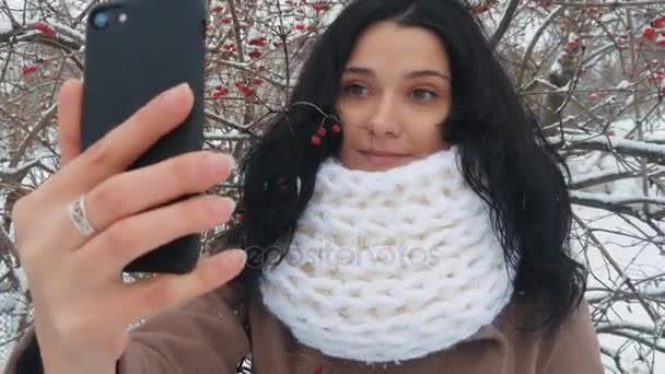 Mujer joven haciendo selfie usando teléfono inteligente en invierno en el parque de nieve — Vídeo de stock