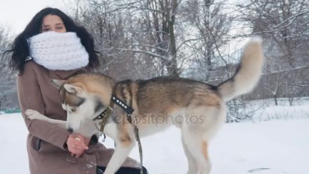 Молодая женщина играет с хаски собакой зимой в снежном саду — стоковое видео