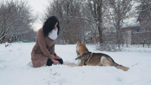 Jovem mulher brincando com um cão husky no inverno em um jardim nevado — Vídeo de Stock