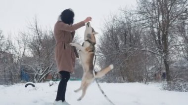 genç kadın bir husky köpek ile kışın karlı bir bahçede oynarken.