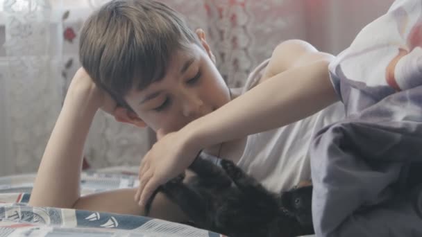 Boy is playing with the kitten in his bed in the bedroom. Happy childhood — Stock Video