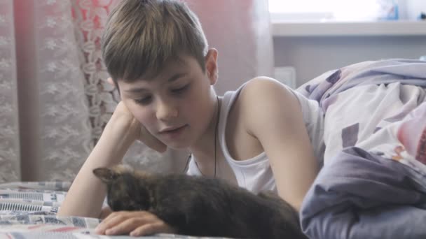 Boy is playing with the kitten in his bed in the bedroom. Happy childhood — Stock Video