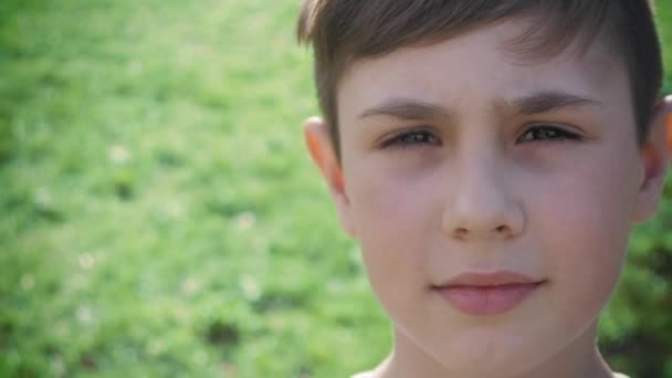 Close up portrait of a boy 10 years old on a background of greenery in spring or summer. — Stock Video