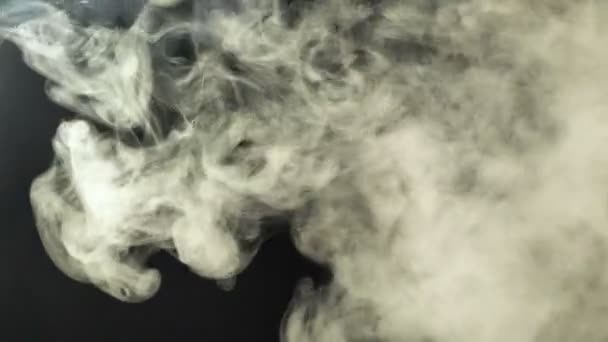 Rook vliegt door het frame op een zwarte achtergrond. Goede beelden voor effecten en overgangen. — Stockvideo
