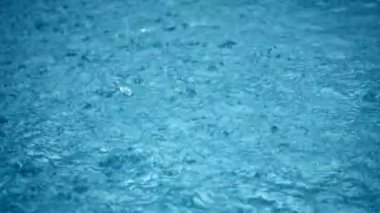 Yakın mesafeden yağmur, yağmur damlaları büyük bir su birikintisine düşüyor. Yağmur mevsimi.
