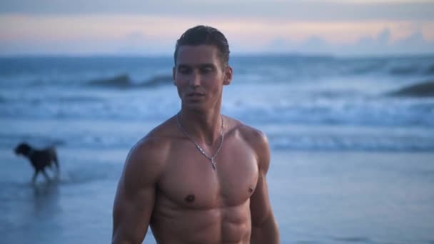 Portrait of young man, the well-trained muscular athlete, posing on the beach at sunset — Stock video