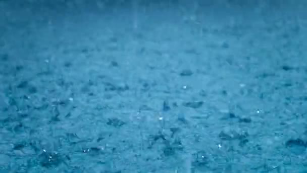 Close-up regen, regendruppels vallen in een grote plas. Regenseizoen. — Stockvideo