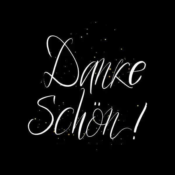 Danke Schon brush paint hand drawn lettering on black background with splashes. Thanks in german language design templates for greeting cards, overlays, posters — Stock Vector