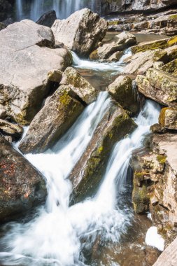 Dere akan aracılığıyla kayalarda orman.