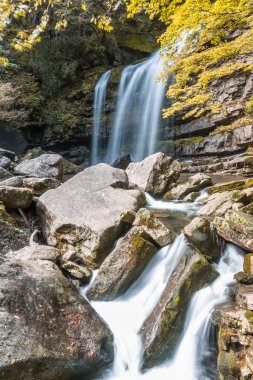 Dere akan aracılığıyla kayalarda orman.