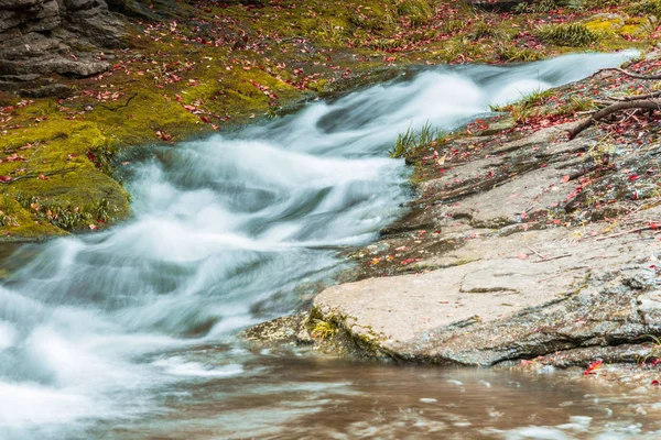 Stream Flowing Through Rocks in forest. — Stock Photo, Image