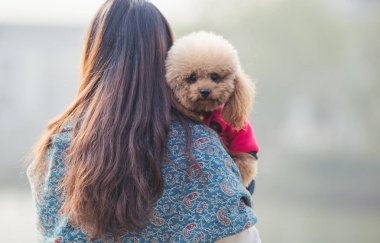 Oyuncak fino köpeği ile kadın ustası bir parkta oynarken