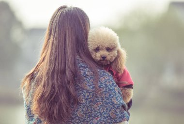 Oyuncak fino köpeği ile kadın ustası bir parkta oynarken