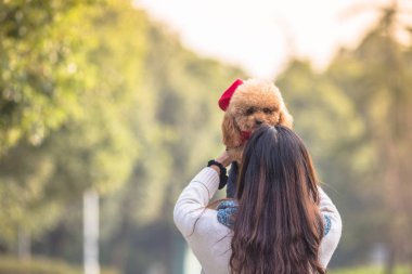 Oyuncak fino köpeği ile kadın ustası bir parkta oynarken