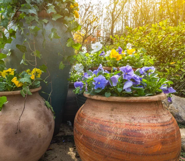 Detail Shot Of plant Over natural Background — Stock Photo, Image