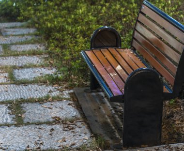 Güneşli bir parkta Bank 
