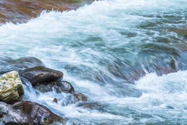 Dere akan aracılığıyla kayalarda orman