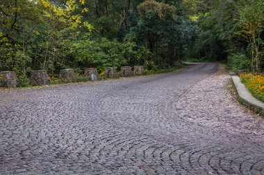 kaldırım taşı patika wuxi nianhuawan doğal park