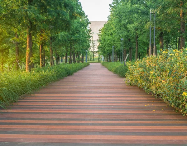 Pasarela peatonal de madera vacía en el parque — Foto de Stock