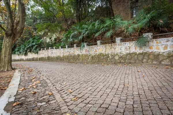 Paving stone footpath in wuxi nianhuawan natural park — Stok Foto