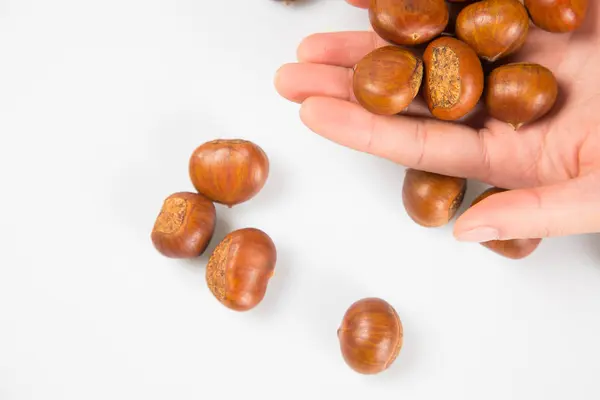 Close up of chestnut against white background — Stock Photo, Image