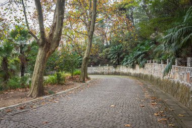 Jiangsu eyaleti Wuxi Nianhuawan doğal park