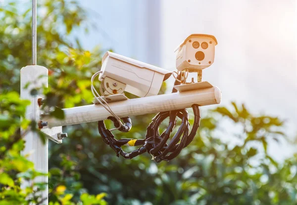 CCTV bewakingscamera met groen — Stockfoto