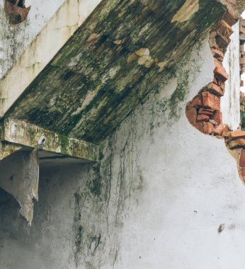 Yıkıldı House, portre