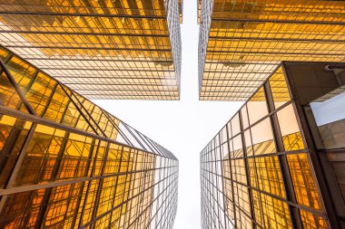 Altın mali mimarisi