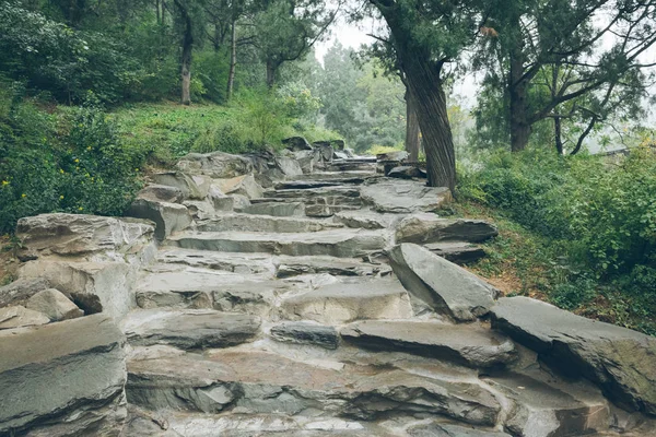 Stone Steps By Trees At Park — Stok Foto