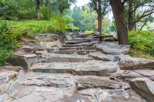 Stone Steps By Trees At Park