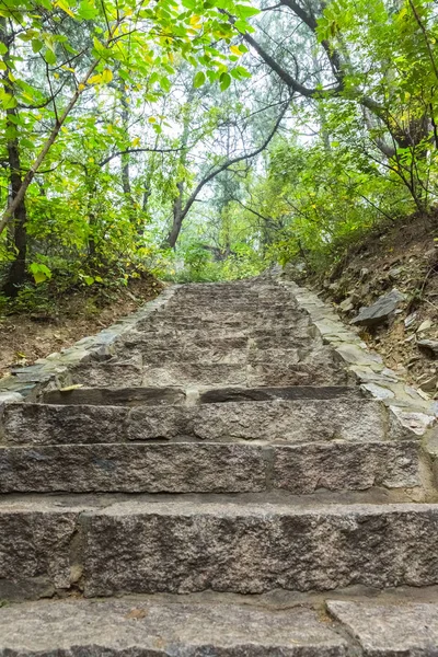 Stone Steps By Trees At Park — Stok Foto