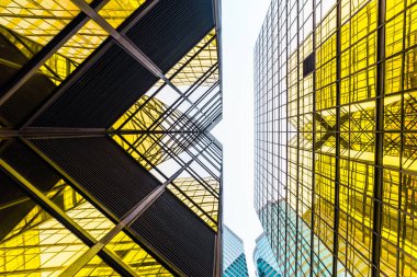 Altın mali mimarisi