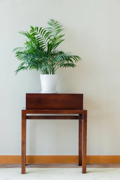 Grüne Topfpflanze auf klassischem Holztisch — Stockfoto