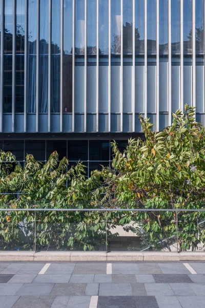 Edificio moderno con arbusto — Foto de Stock