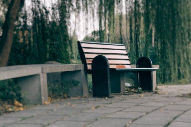 Bir parkta ağaçların altında tezgah