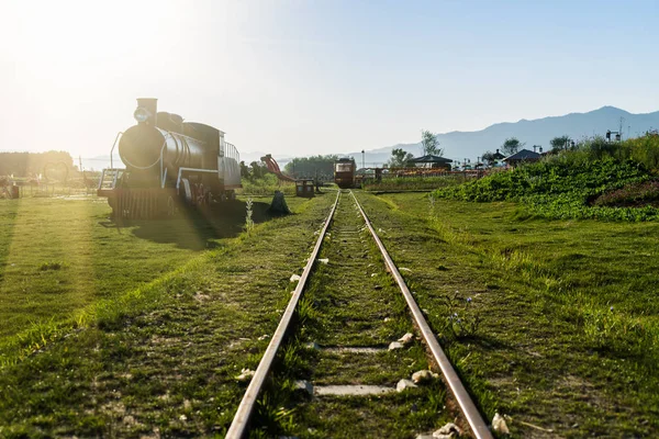 rail track on a meadow in a park