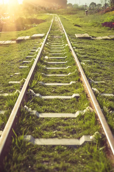 rail track on a meadow in a park