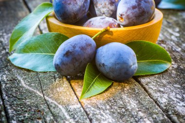 Tahta masada taze erikler.