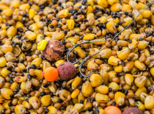 Catch carp on baits — Stock Photo, Image