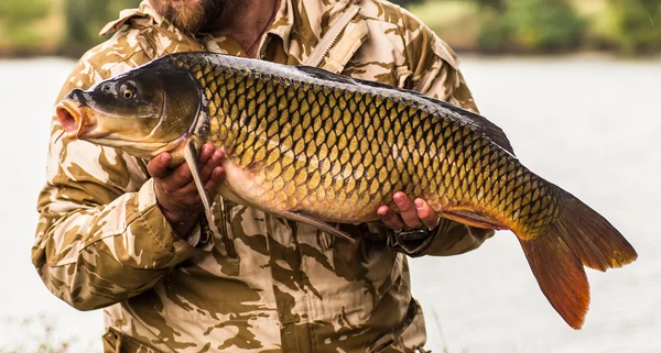 Pêcheur heureux avec trophée de pêche à la carpe — Photo