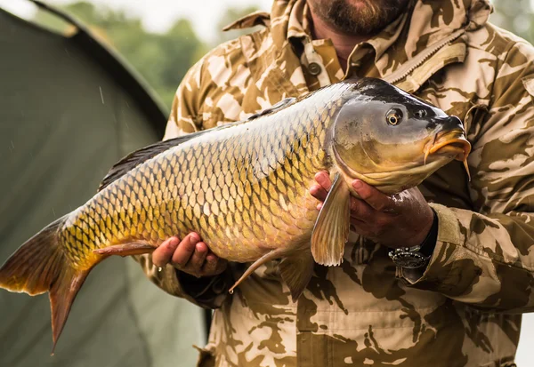 Pêcheur heureux avec trophée de pêche à la carpe — Photo